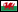 Welsh National Flag, The Red Dragon