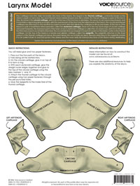 Larynx Model
